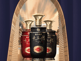 致敬岁月•老酒经典——白水杜康振兴陕酒老清香发展大会顺利召开