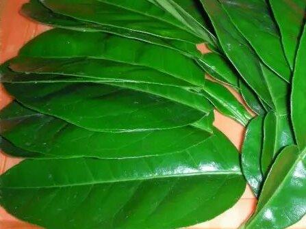 解读除夕、新春传统习俗(一)——岁寒清瘴:中华传统年俗中的清洁防疫智慧与实践体系-图片4